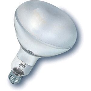 Bailey Electric & Electronics UV27230300F/02 Ampoule Incandescente - Lumière UV - Publicité Bailey Electric & Electronics UV27230300F/02 Ampoule Incandescente - Lumière UV - Publicité