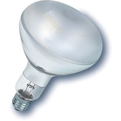 Bailey Electric & Electronics UV27230300F/02 Ampoule Incandescente - Lumière UV - Publicité Bailey Electric & Electronics UV27230300F/02 Ampoule Incandescente - Lumière UV - Publicité