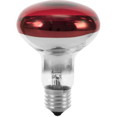 EuroLite R80 230V/60W E-27 Ampoule Réflecteur Rouge - Ampoule - Publicité EuroLite R80 230V/60W E-27 Ampoule Réflecteur Rouge - Ampoule - Publicité
