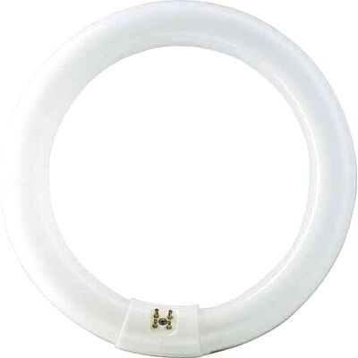 Philips Leuchtstofflampe TL-E 32W/840 - Lampes fluorescentes, socle spécial - Publicité Philips Leuchtstofflampe TL-E 32W/840 - Lampes fluorescentes, socle spécial - Publicité