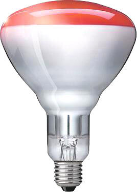 Philips InfraRed 250W IR250RH BR125 E27 Rouge - Ampoules à incandescence, couleur, socle E27