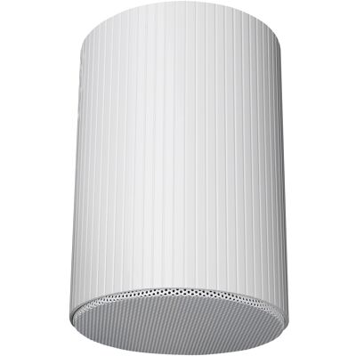 DAP-Audio HS-620M Enceinte passive tubulaire suspendue 6 pouces - blanche - Haut-parleurs extérieurs - Publicité DAP-Audio HS-620M Enceinte passive tubulaire suspendue 6 pouces - blanche - Haut-parleurs extérieurs - Publicité