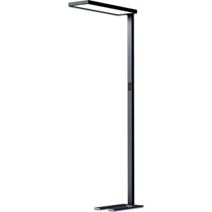 ISOLED LED Office Pro Lampadaire Up Down, 80W 20W, noir, UGR - Lampes d’ambiance, de table et sur pied