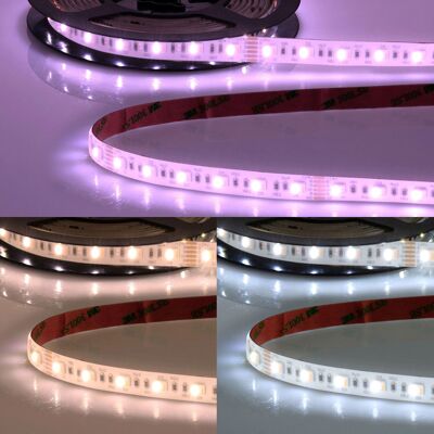 Fiai IsoLED Bande LED AQUA RGB+W+WW 5en1 - Ruban LED - Publicité Fiai IsoLED Bande LED AQUA RGB+W+WW 5en1 - Ruban LED - Publicité