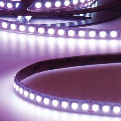 Fiai IsoLED Bande LED RGB - 5m - 60W - 24V - SMD5050 - Publicité Fiai IsoLED Bande LED RGB - 5m - 60W - 24V - SMD5050 - Publicité