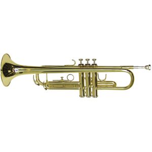 DIMAVERY TP-10 Trompette Sib, or -B-Stock- - Soldes% Divers - Publicité DIMAVERY TP-10 Trompette Sib, or -B-Stock- - Soldes% Divers - Publicité