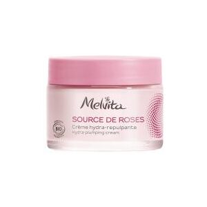 Melvita Source de Roses Crème Hydra-Repulpante Bio 50 ml - Pot 50 ml