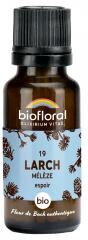 Biofloral Granules 19 Larch - Mélèze Bio 19,5 g - Flacon 19,5 g