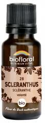 Biofloral Granules 28 Scleranthus - Scléranthe Bio 19,5 g - Flacon 19,5 g