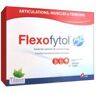 Tilman Flexofytol Articulations 180 Capsules - Boîte 180 capsules