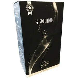 Dietworld B.Splendid Flash Legend Lotion 100ml