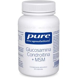 Pure Encapsulations Glucosamine Chondroitin With Msm 60caps