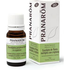 Pranarôm Huile Essentielle Eucalyptus a Cryptone Bio 10ml