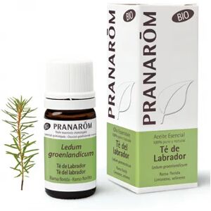 Pranarom Bio Huile Essentielle Ledon du Groenland 5 ml