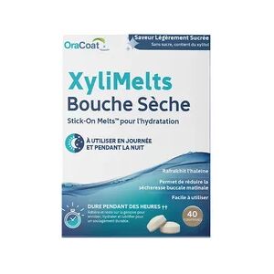 XyliMelts Bouche Seche Legerement Sucree Sans Sucre 40comp