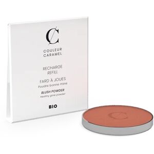 Couleur Caramel Parenthèse à Montmartre Blush Refill Nro 77 3.3g