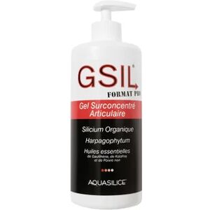 Aquasilice GSIL Gel Surconcentre Articulaire Format Pro 500ml