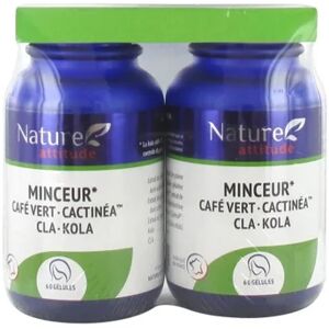 Naturactive Nature Attitude Minceur CafÃ© Vert CactinÃ©a Cla Kola 2x60caps