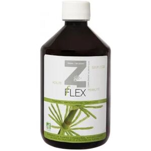 MINT-E Health Zflex Reine Des Pres/Silice 500ml