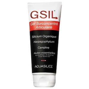 Aquasilice Gsil Gel Surconcentre Articulaire 200ml