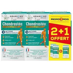 CHONDROSTEO Granions Chondrosteo Articulations 3x90 Comprimes