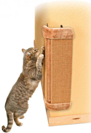 Promotions En Cours Polytrans Chat Promotions En Cours Polytrans Chat