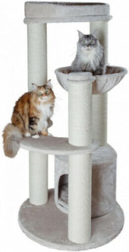 Trixie Arbre à chat gris Carlos pour grand chat hauteur 159 cm Trixie