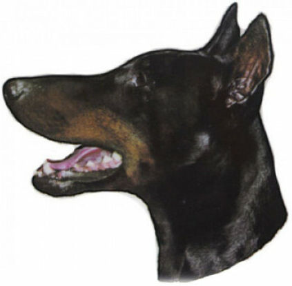 Difac Autocollant race Dobermann 14 cm - Lot de 2 Difac Autocollant race Dobermann 14 cm - Lot de 2