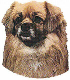 Difac Autocollant race Épagneul Tibétain Difac Autocollant race Épagneul Tibétain