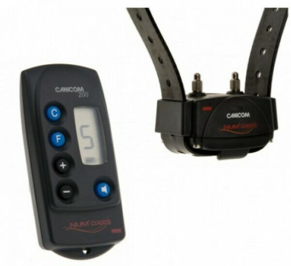 Numaxes Ensemble de dressage Canicom 200 Numaxes Numaxes Ensemble de dressage Canicom 200 Numaxes