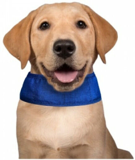 Aqua Coolkeeper Collier rafraîchissant bleu pour chien Aqua Coolkeeper 52/61 x 7 cm Aqua Coolkeeper Collier rafraîchissant bleu pour chien Aqua Coolkeeper 52/61 x 7 cm