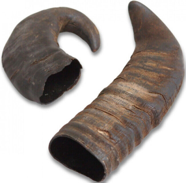 Trixie Corne de buffle friandise pour chien T1 l'unité Trixie Corne de buffle friandise pour chien T1 l'unité