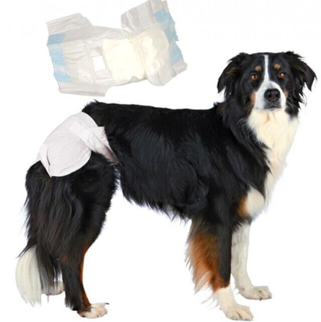 Trixie Couche culotte jetable blanche pour incontinence pour chienne paquet de 12 couches T00