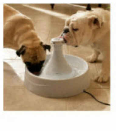 Petsafe Fontaine à eau pour chiens et chats Drinkwell 360° Petsafe 3,8 litres Petsafe Fontaine à eau pour chiens et chats Drinkwell 360° Petsafe 3,8 litres