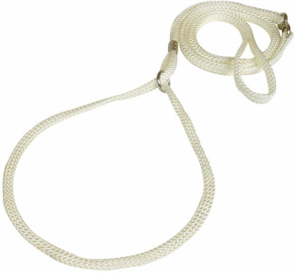 Polytrans Laisse de présentation pour chien T3 blanche ø 7 mm Polytrans Laisse de présentation pour chien T3 blanche ø 7 mm