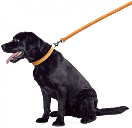 Polytrans Laisse chien cuir bombé Noire Polytrans Laisse chien cuir bombé Noire