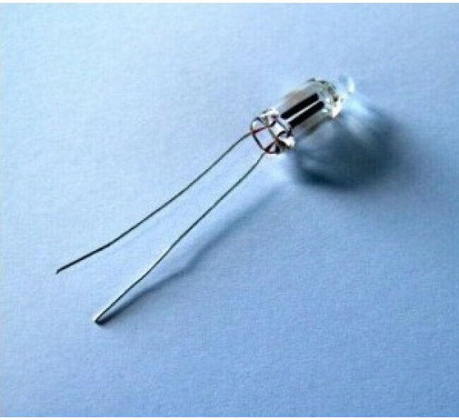 Numaxes Lampe néon de rechange pour collier ou clôture Numaxes Lampe néon de rechange pour collier ou clôture