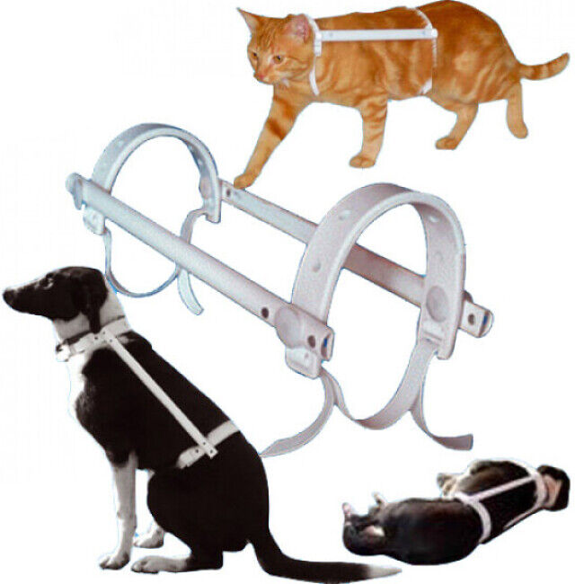 Propal Carcan antitorsion protection automutilation chien chat Propal T0 Propal Carcan antitorsion protection automutilation chien chat Propal T0