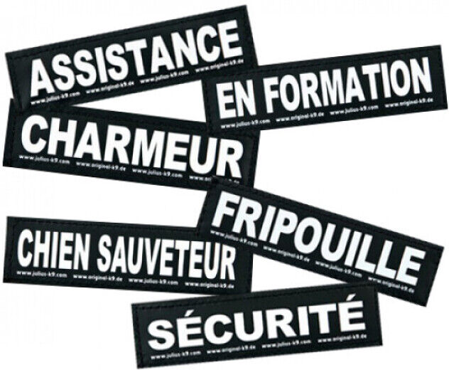 JULIUS-K9 Stickers Velcro pour harnais Julius-K9 pour chien "En formation" Lot de 2 (11 x 3 cm) JULIUS-K9 Stickers Velcro pour harnais Julius-K9 pour chien "En formation" Lot de 2 (11 x 3 cm)