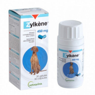 Intervet Schering Plough Zylkene contre le stress et l'anxiété pour chien + 30 kg. Flacon 30 gélules de 450 mg Intervet Schering Plough Zylkene contre le stress et l'anxiété pour chien + 30 kg. Flacon 30 gélules de 450 mg