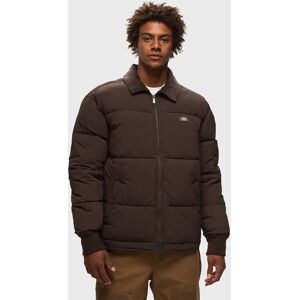 DICKIES EISENHOWER PUFFER JAVA men Down & Puffer Jackets brown en taille:M