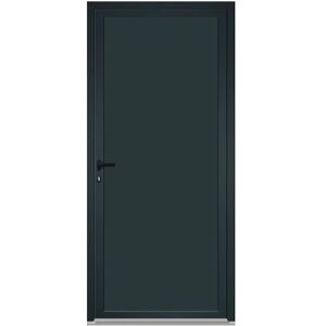 Le Roi de la Fenêtre Porte de service Aluminium 1 vantail - Publicité Le Roi de la Fenêtre Porte de service Aluminium 1 vantail - Publicité