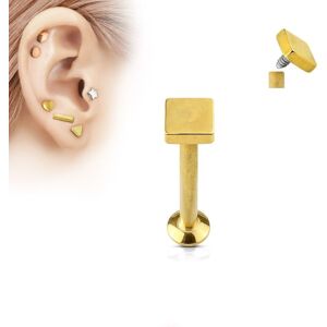 Piercing Street Piercing oreille labret vissage interne carre dore - Dore