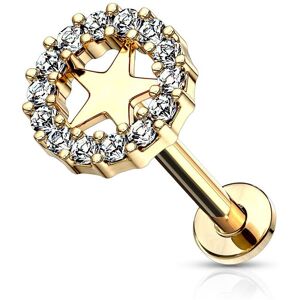 Piercing Street Piercing labret oreille cercle etoile plaque or - Dore