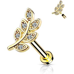 Piercing Street Piercing labret oreille feuille pavee plaque or - Dore