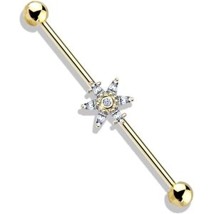 Piercing Street Piercing industriel oreille fleur 6 petales plaque or - Dore