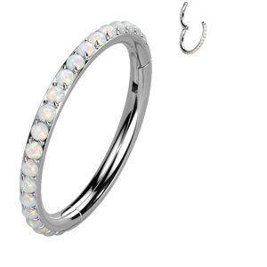 Piercing Street Piercing oreille anneau segment titane pave d'opalines - Argente