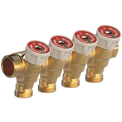 GIACOMINI Collecteur avec Robinet d'Arrêt pour eau sanitaire - R585C - 2 Sorties 3/4 MF 1/2 - Publicité GIACOMINI Collecteur avec Robinet d'Arrêt pour eau sanitaire - R585C - 2 Sorties 3/4 MF 1/2 - Publicité
