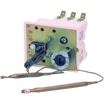 THERMOR Thermostat BTS 2 bulbes TRI L320 - Thermostat BTS 2 bulbes TRI L320 - Publicité THERMOR Thermostat BTS 2 bulbes TRI L320 - Thermostat BTS 2 bulbes TRI L320 - Publicité