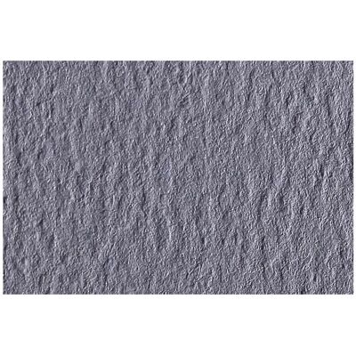 Clairefontaine - Etival Color 25F A3 160g - Gris foncé - Lot de 2 - Paper - Publicité Clairefontaine - Etival Color 25F A3 160g - Gris foncé - Lot de 2 - Paper - Publicité